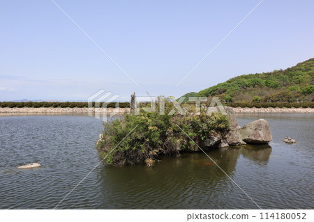 大塚古墳(水上古墳)(緊身) 大塚古墳(水上古墳)(緊身) 114180052