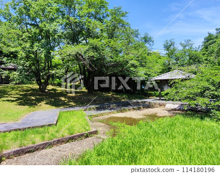 大山綠地 114180196