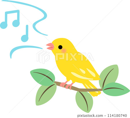 Yellow canary singing on a branch Yellow canary singing on a branch 114180740