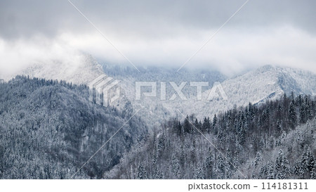 Winter Landscape With Pine Forest And Snow-capped Mountains In Europe. 114181311