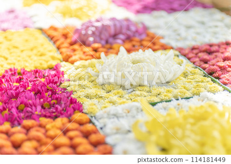 茨城家族笠間市笠間稻荷神社菊花節 茨城家族笠間市笠間稻荷神社菊花節 114181449