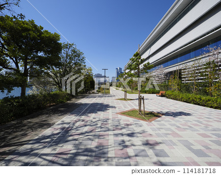 有明西橋公園 114181718