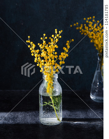 glass bottle with yellow mimosa flowers stand on dark  background. concept of 8 March 114181785