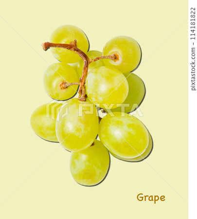 bunch green grapes macro on green background with hard shadow. 114181822