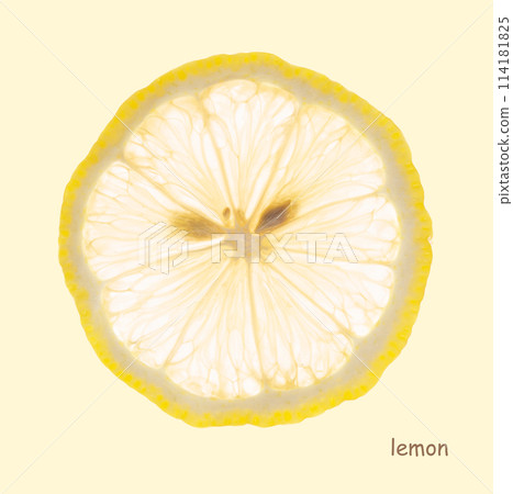 Fresh sliced lemon x-ray poster on yellow background. Top view and macro Fresh sliced lemon x-ray poster on yellow background. Top view and macro 114181825