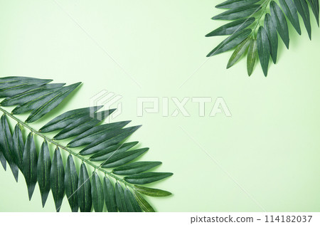 Two palm tree leaf  on green background.  Summer pattern. Top view 114182037
