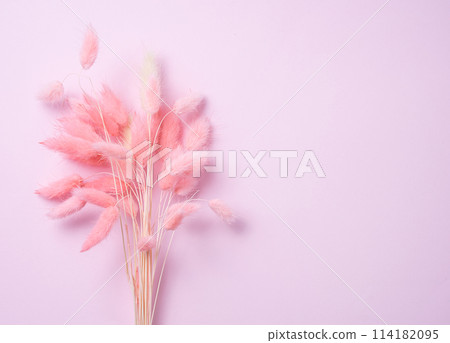bouquet of pink dried flowers on a pink pastel background 114182095
