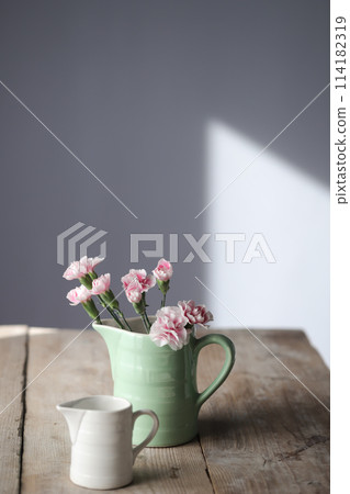 Cosmos and vases 114182319