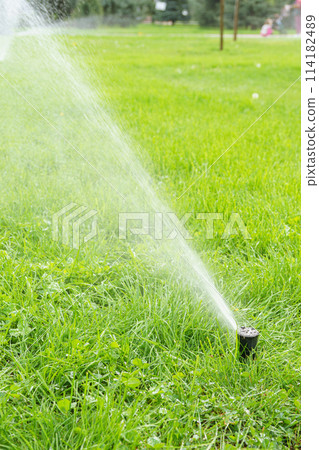 Automatic smart lawn sprinkler with adjustable head watering green lawn grass in sunny day Automatic smart lawn sprinkler with adjustable head watering green lawn grass in sunny day 114182489