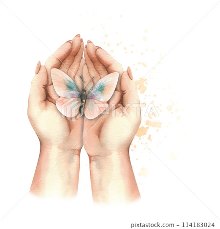 A white woman's hands are folded into a butterfly. Realistic hand-drawn watercolor illustration. Composition isolated from the background. For Women's Day, Mother's Day, Birthday themes. A white woman's hands are folded into a butterfly. Realistic hand-drawn watercolor illustration. Composition isolated from the background. For Women's Day, Mother's Day, Birthday themes. 114183024