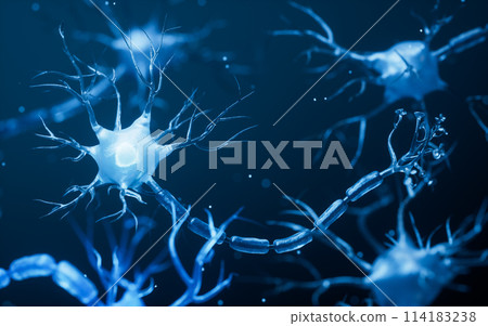 Biology nerve cell with biomedicine concept, 3d 114183238