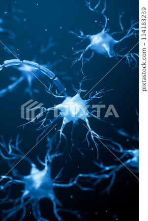 Biology nerve cell with biomedicine concept, 3d 114183239