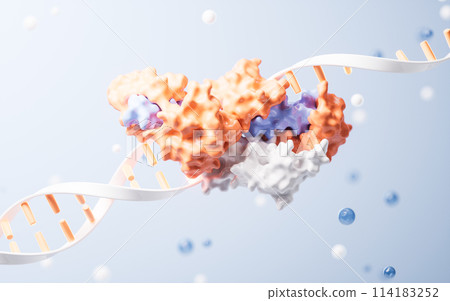 chromosome, pharmacy, molecule 114183252