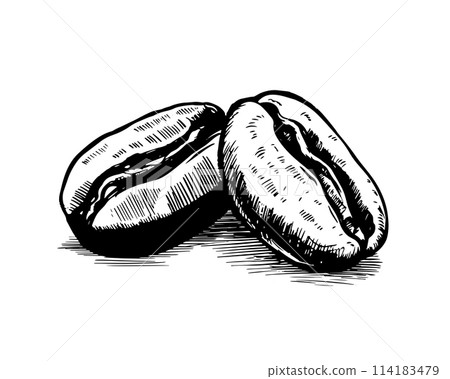 coffee, bean, vector 114183479