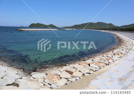 可以看到鴻餛飩松林的海岸 114183485