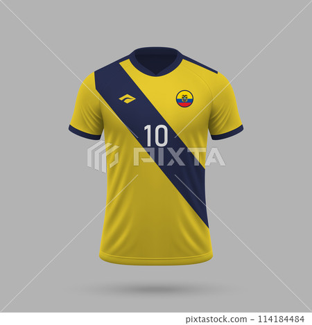 3d realistic soccer jersey Ecuador national team 2024 3d realistic soccer jersey Ecuador national team 2024 114184484