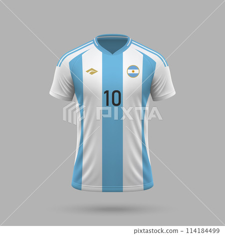 3d realistic soccer jersey Argentina national team 2024 3d realistic soccer jersey Argentina national team 2024 114184499
