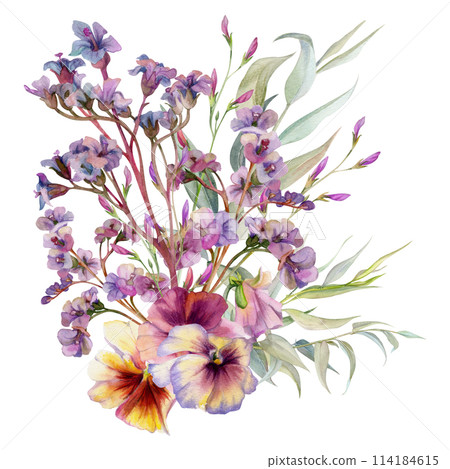 Hand drawn watercolor illustration botanical flowers leaves. Mauve pansy viola, willow eucalyptus, bergenia heliotrope lungwort, pink lobelia jasmine. Bouquet isolated on white. Design wedding, cards Hand drawn watercolor illustration botanical flowers leaves. Mauve pansy viola, willow eucalyptus, bergenia heliotrope lungwort, pink lobelia jasmine. Bouquet isolated on white. Design wedding, cards 114184615