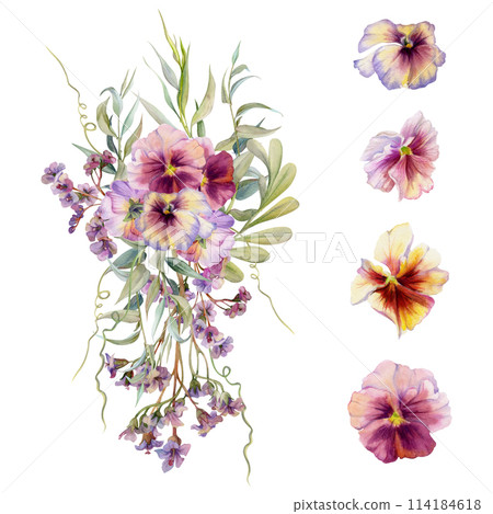 Hand drawn watercolor illustration botanical flowers leaves. Mauve pansy viola, locust indigo branch, willow eucalyptus, bergenia heliotrope lungwort, tendrils. Bouquet isolated white. Wedding, cards 114184618