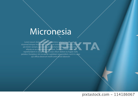 Micronesia national flag isolated on background with copyspace 114186067