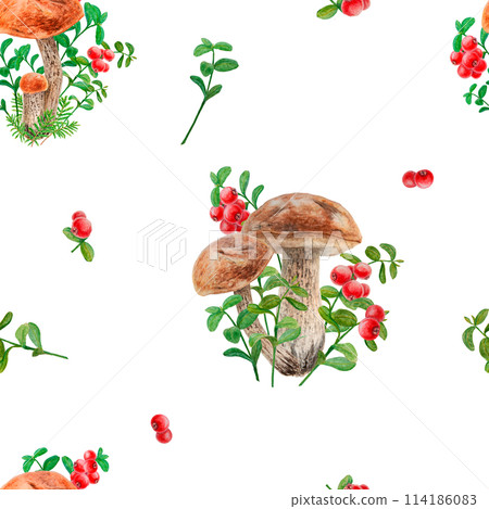 Wild mushrooms, red wild berries watercolor seamless pattern. Hand drawn botanical realistic ornament. Forest boletus and cranberry botanical motif for printing on fabric, packing paper, wallpaper Wild mushrooms, red wild berries watercolor seamless pattern. Hand drawn botanical realistic ornament. Forest boletus and cranberry botanical motif for printing on fabric, packing paper, wallpaper 114186083