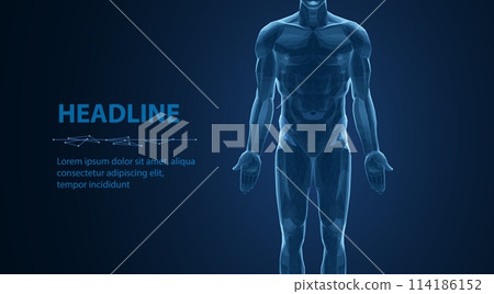 Human body. Abstract vector. Human anatomy, Digital technology, Medical science. 114186152
