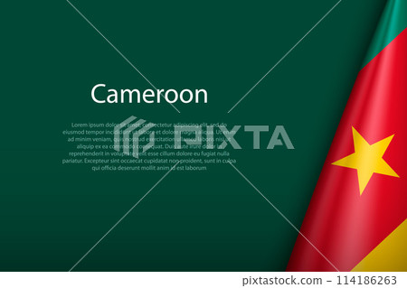 Cameroon national flag isolated on background with copyspace 114186263
