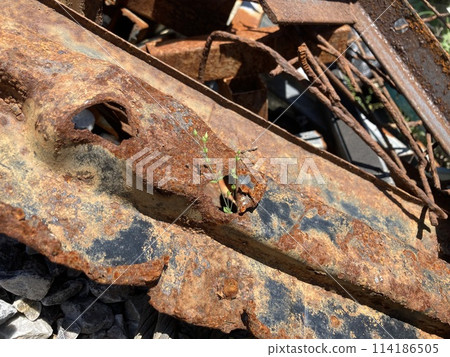 Abandoned and rusty scrap iron 114186505