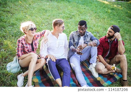 Diverse group of cheerful friends sitting on grass at sunset in nature park. Diverse group of cheerful friends sitting on grass at sunset in nature park. 114187206