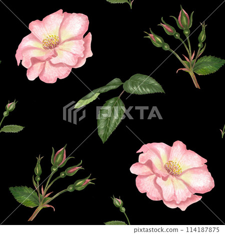 Watercolor seamless pattern with rosehip, Brier leaves and branches. 114187875