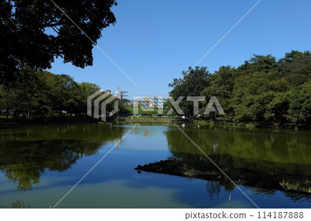 Stroll around Omiya Park Stroll around Omiya Park 114187888