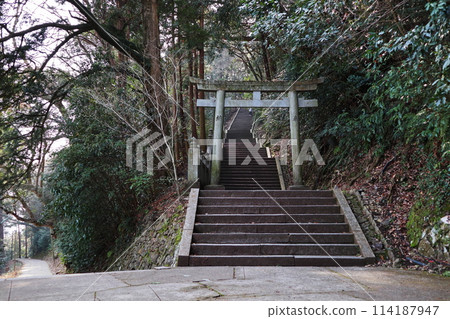 通往奧之院的山路上的鳥居和石階 114187947