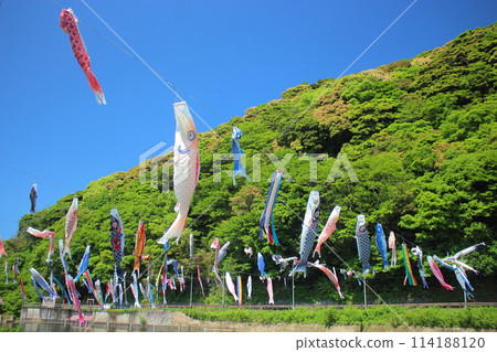 Carp streamer festival in Kokuraminami Ward, Kitakyushu City 114188120