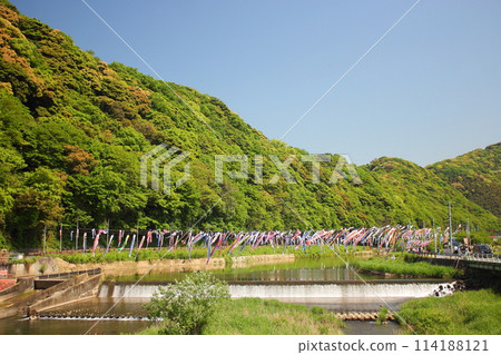 Carp streamer festival in Kokuraminami Ward, Kitakyushu City 114188121
