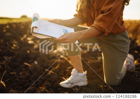 A woman agronomist checks the harvest. Smart farmer concept. A bountiful harvest A woman agronomist checks the harvest. Smart farmer concept. A bountiful harvest 114188286