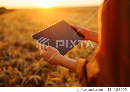 A woman agronomist checks the harvest. Smart farmer concept. A bountiful harvest 114188295