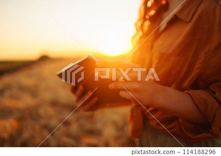A woman agronomist checks the harvest. Smart farmer concept. A bountiful harvest A woman agronomist checks the harvest. Smart farmer concept. A bountiful harvest 114188296