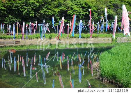 Carp streamer festival in Kokuraminami Ward, Kitakyushu City. Reflection on the water surface. Carp streamer festival in Kokuraminami Ward, Kitakyushu City. Reflection on the water surface. 114188319