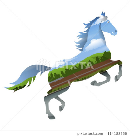 horse, vector, silhouette 114188566