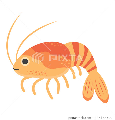 Cute shrimp. Cartoon character. Marine life. Sea animal isolated Cute shrimp. Cartoon character. Marine life. Sea animal isolated 114188590