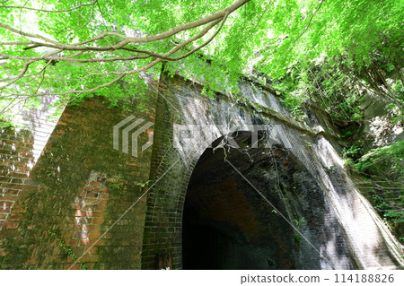 艾吉隧道群藍楓 艾吉隧道群藍楓 114188826