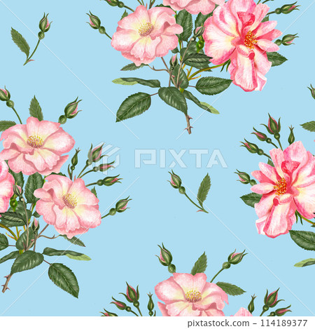 Watercolor seamless pattern with rosehip, Brier leaves and branches. Tender illustration isolated on blue background 114189377