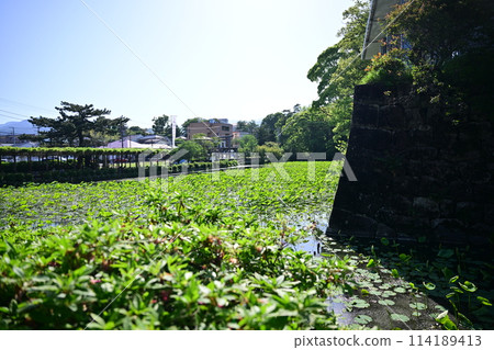 Clear Odawara Castle Clear Odawara Castle 114189413
