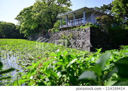 Clear Odawara Castle Clear Odawara Castle 114189414