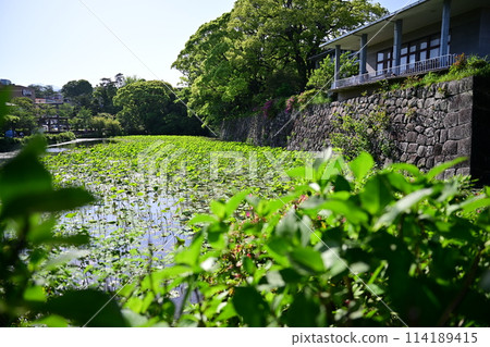 Clear Odawara Castle 114189415