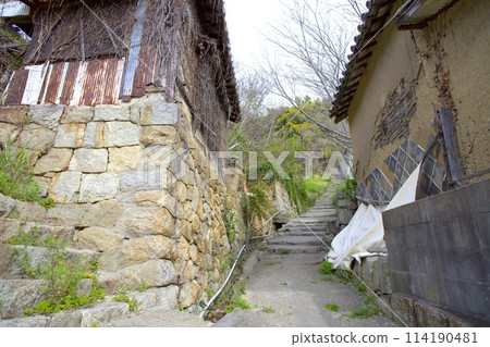 "Shishijima" - A nostalgic walking path leading to the giant camphor tree / Mitoyo City, Kagawa Prefecture "Shishijima" - A nostalgic walking path leading to the giant camphor tree / Mitoyo City, Kagawa Prefecture 114190481