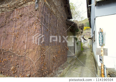 「獅子島」通往大樟樹的懷舊散步道/香川縣三豐市 「獅子島」通往大樟樹的懷舊散步道/香川縣三豐市 114190504