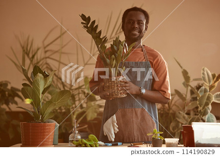 Waist up portrait of smiling African American man holding potted plant while enjoying gardening at home tinted peach 114190829