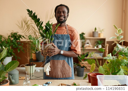 Waist up portrait of smiling African American man holding potted plant while enjoying gardening at home and looking at camera copy space 114190831