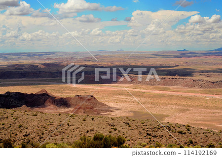 Alien Landscape Petrified Forest National Park Arizona 114192169